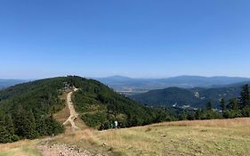 Grey Apartamenty przy skoczni&SKI BUS